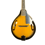 Archer N AM10 Archer Mandolin A Style