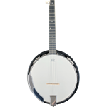 B245G Archer Banjo 5 String