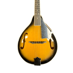 Archer N AM10 Archer Mandolin A Style