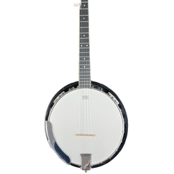 B245G Archer Banjo 5 String