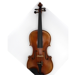 Aragona V130A55 Viola 15 1/2 Performance